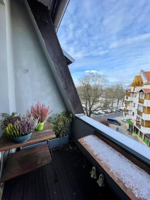 Apartament Przy Parku Z Bezplatnym Parkingiem Stary Toruń Kültér fotó